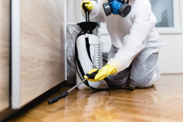 Best Ant Control Services  in Magnolia Springs, AL