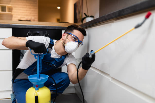 Best Best Pest Control Companies  in Magnolia Springs, AL