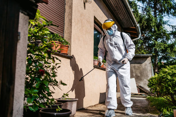 Best Exterminator Services  in Magnolia Springs, AL