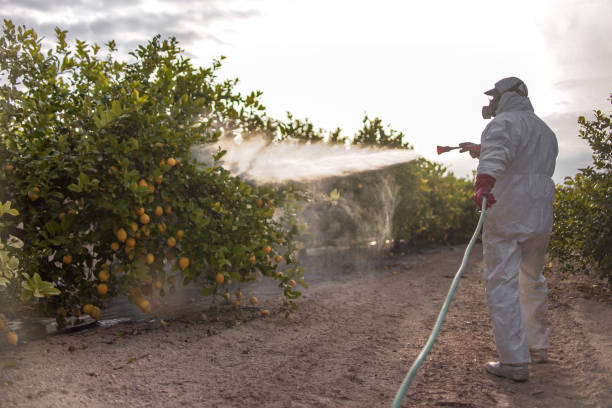 Best Commercial Pest Control Services  in Magnolia Springs, AL