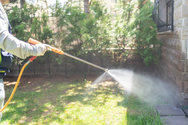 Best Residential Pest Control  in Magnolia Springs, AL