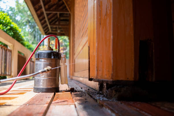 Best Pest Removal Services  in Magnolia Springs, AL