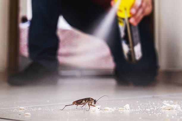 Best Emergency Pest Control  in Magnolia Springs, AL