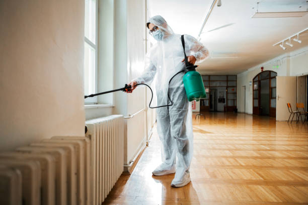Best Flea Control Services  in Magnolia Springs, AL