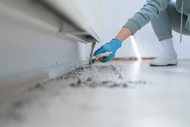 Best Pest Prevention Services  in Magnolia Springs, AL