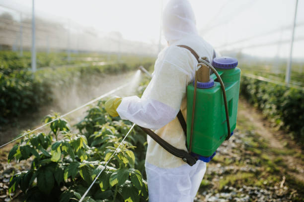 Best Exterminator Services  in Magnolia Springs, AL
